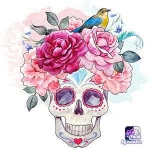 Meet your Posher, Breezee